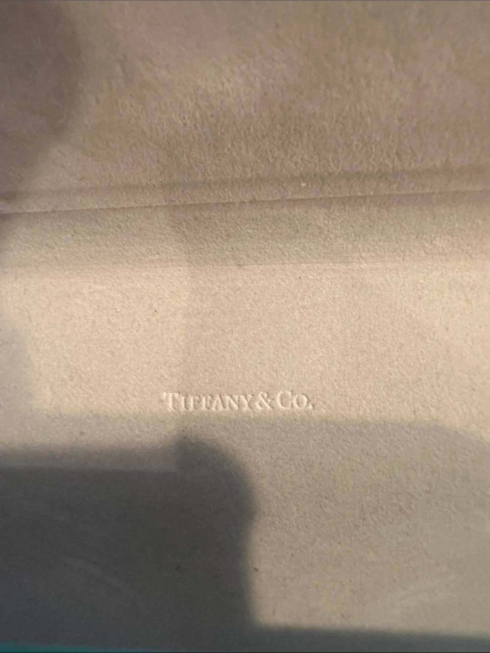 Tiffany & Co. Tiffany Blue Leather Eyewear Case